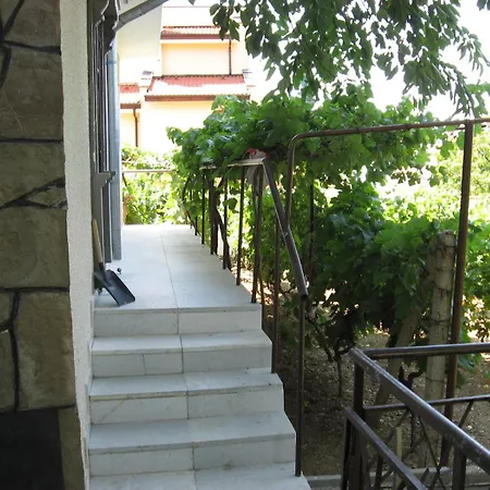 Kalina Sveti Vlas