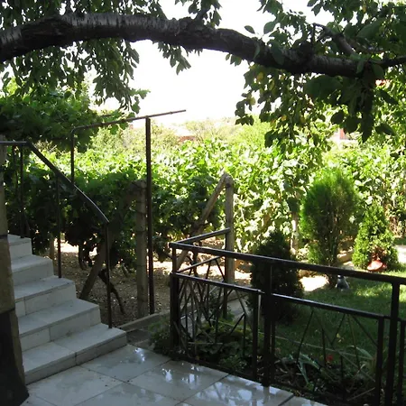 Kalina * Sveti Vlas